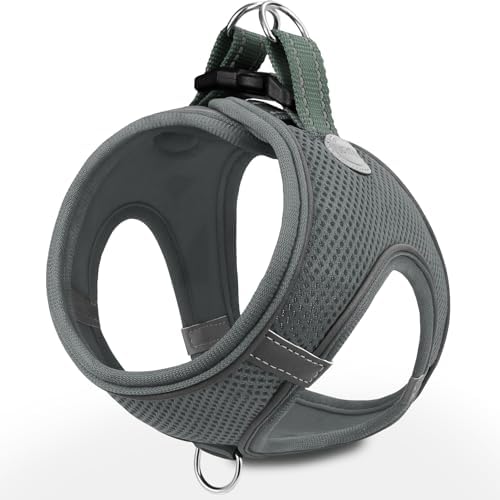 Joytale Step-in Dog Harness, Soft Breathable Mesh by Joytale