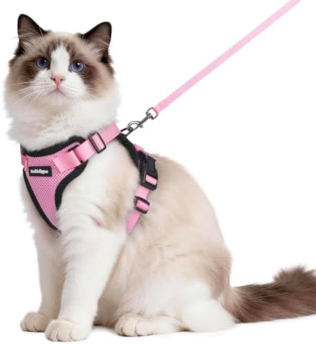 rabbitgoo Cat Harness and Leash Set, Escape Proof Vest by rabbitgoo