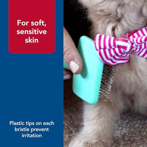 Coastal Pet Lil Pals Kitten Slicker Brush - Image 5