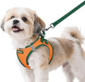 rabbitgoo Dog Harness Small Sized and Leash Set, Step in Soft Vest by rabbitgoo