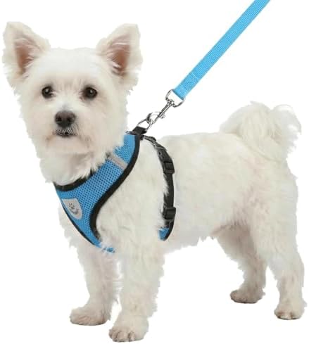 Hypeety Dog Vest Harness No-Pull Reflective Step-in Air Mesh Vest by Hypeety