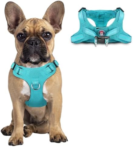BARKBAY Dog Harness Medium Sized Dog, No Pull Puppy Harness, Step-in Dog Vest by BARKBAY
