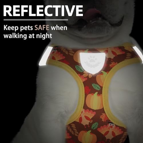 PUPTECK Dog Harness, Collar and Leash Set No Pull - Image 5