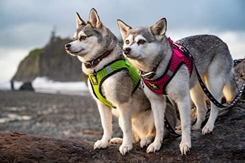 EcoBark Step in Dog Harness Reflective Soft Ultra Padded Mesh Dog Harnesses - Image 5