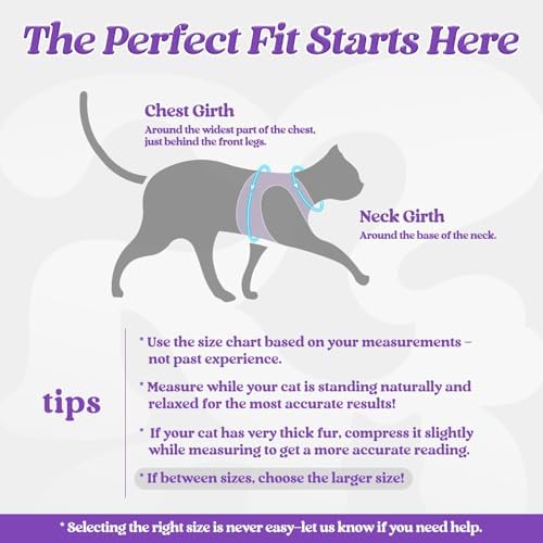 rabbitgoo Cat Harness and Leash Set, Step-in Soft Vest - Image 2