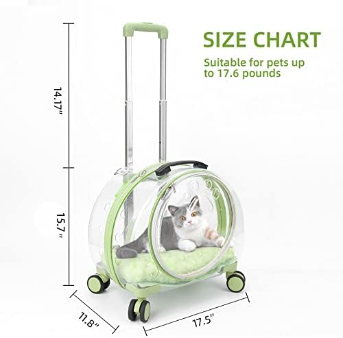 Transparent & Fully Breathable Hard cat Carrier - Image 2