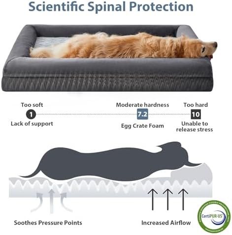 WNPETHOME XL Extra Large Orthopedic - Image 3