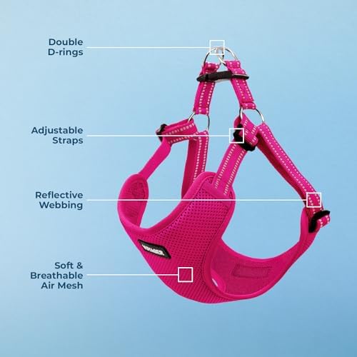Voyager Step-in Flex Adjustable Dog Harness - Image 3