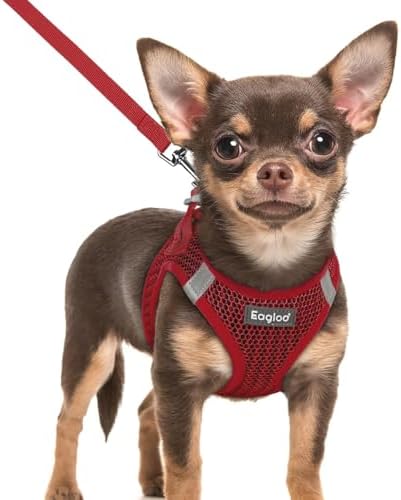 Eagloo Small Dog Harness and Leash Set, Step in Extra Small Puppy Pet Vest by GoExplorewithEagloo