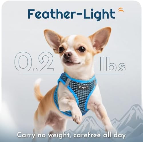 Eagloo Small Dog Harness and Leash Set, Step in Extra Small Puppy Pet Vest - Image 5