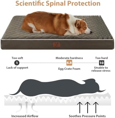 WNPETHOME Orthopedic Waterproof Large Dog Bed - Image 3