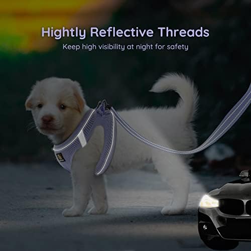 BELLA & PAL Step in Puppy Harness and Leash Set - Image 5