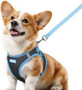 rabbitgoo Dog Harness Small Sized and Leash Set, Step in Soft Vest by rabbitgoo