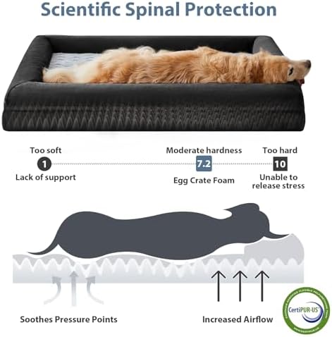 WNPETHOME XL Extra Large Orthopedic - Image 3