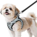 rabbitgoo Dog Harness Small Sized and Leash Set, Step in Soft Vest by rabbitgoo