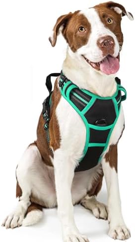 rabbitgoo Dog Harness, No Pull for Large Dogs by rabbitgoo