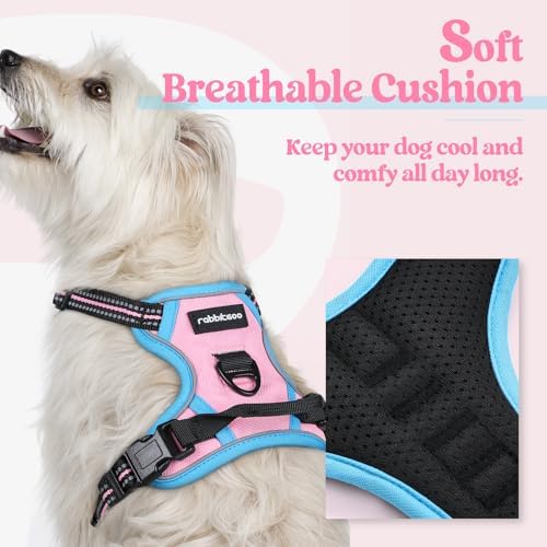 rabbitgoo Dog Harness, No Pull for Small Dogs - Image 2
