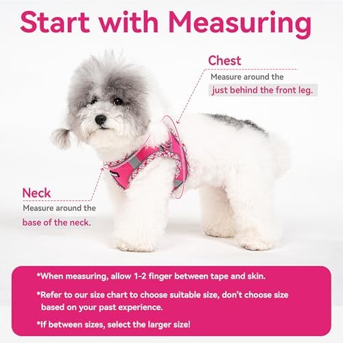 Petank Step in Dog Harness No Pull and Leash - Image 5