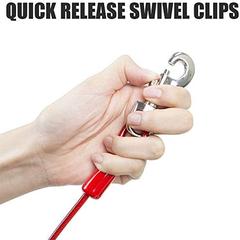 BV Dog Tie Out Cable 30 Feet - Image 4