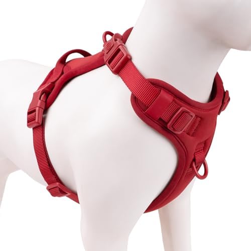 Sunraymascota No Pull Dog Harness by Sunraymascota