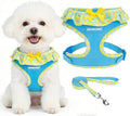 EXPAWLORER Step-in Dog Harness Small Sized and Leash Set by EXPAWLORER