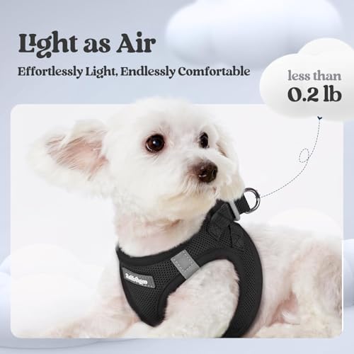 rabbitgoo Dog Harness Small Sized and Leash Set, Step-in Puppy Pet Vest - Image 3