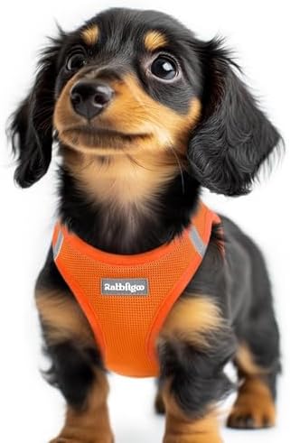 rabbitgoo Step-in Small Dog Harness, Puppy Vest by rabbitgoo