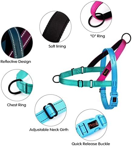 Didog No Pull Dog Harness for Small Dogs, Soft Padded Handle - Image 2