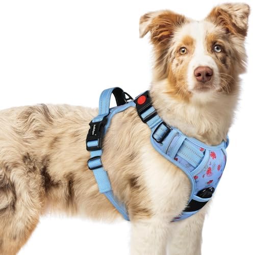 rabbitgoo Dog Harness Medium Sized, Updated Easy On & Off by rabbitgoo