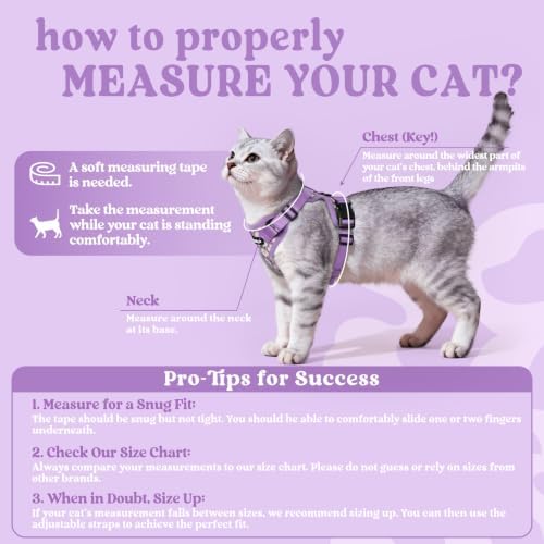 rabbitgoo Cat Harness and Leash Set, Escape Proof Vest, Purr-ple Daisy - Image 2