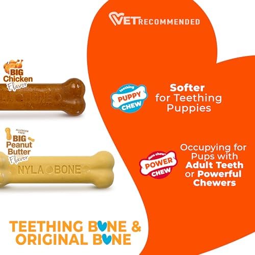 Nylabone Puppy Chew Teething Bone & Original Bone Dog Chew Toys - Image 5