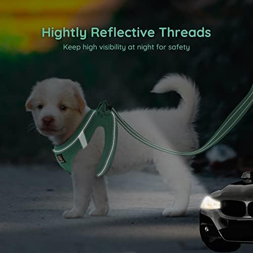 BELLA & PAL Small Emerald Dog Harness - Image 4
