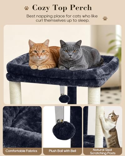SYANDLVY Small Cat Tree for Indoor Cats - Image 4