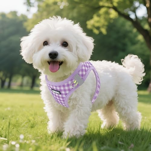 AIITLE Step in Medium Dog Harness and Leash Set, Puppy Pet Vest - Image 6