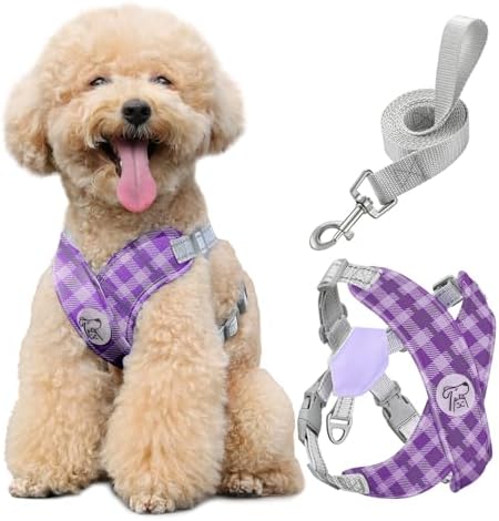Pawaboo Small Dog Harness and Leash Set, Puppy Harness X-Frame Adjustable by Pawaboo