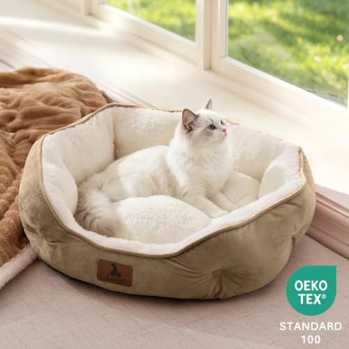 Asvin Small Dog Bed for Small Dogs, Cat Beds for Indoor Cats, Pet Bed for Puppy - Image 4