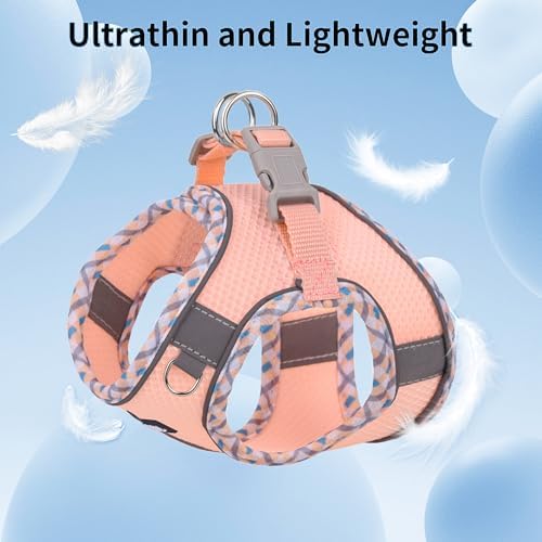 AIITLE Step in Dog Harness & Leash Set - Image 6