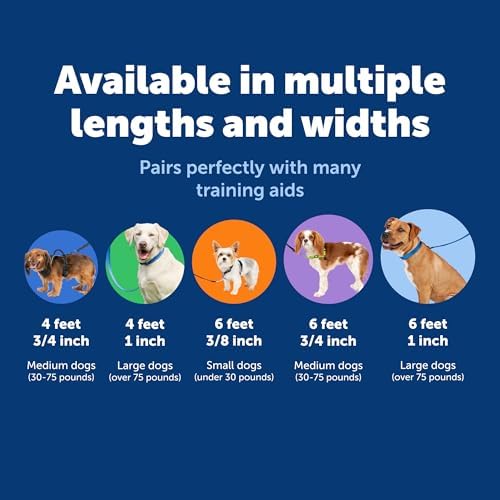 PetSafe Nylon Dog Leash, 3/4 in x 6 ft - Image 5