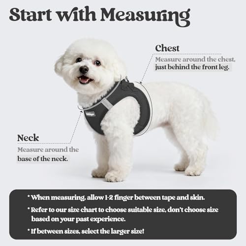 rabbitgoo Dog Harness Small Sized and Leash Set, Step-in Puppy Pet Vest - Image 2