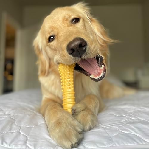 Nylabone Power Chew Customer Favorites Dog Chew Toys - Image 5