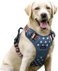 rabbitgoo Dog Harness, No Pull for Large Dogs by rabbitgoo