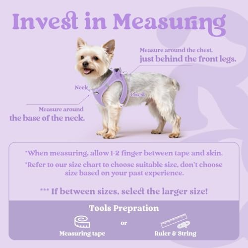 rabbitgoo Step-in Small Dog Harness, Puppy Vest - Image 2