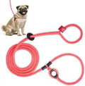 Harness Lead No Pull Dog Harness and Leash Set, Anti Pull Dog Harness by HarnessLead