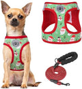 BEAUTYZOO Step in Dog Harness and Leash Set, Reflective Dog Harness No Pull No by BEAUTYZOO