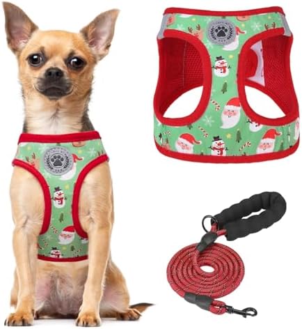 BEAUTYZOO Step in Dog Harness and Leash Set, Reflective Dog Harness No Pull No by BEAUTYZOO