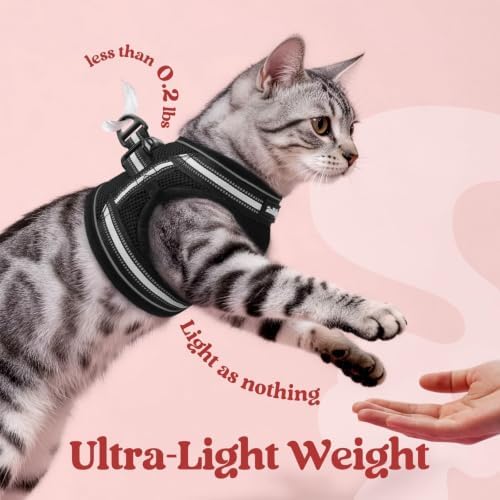 rabbitgoo Cat Harness and Leash Set, Step-in Soft Vest - Image 5