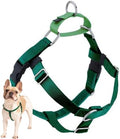 2 Hounds Design Freedom No Pull Dog Harness, 5/8 inch XS, Kelly Green by 2HoundsDesign