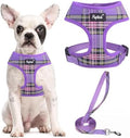 PUPTECK Small Dog Harness and Leash Set No Pull by PUPTECK