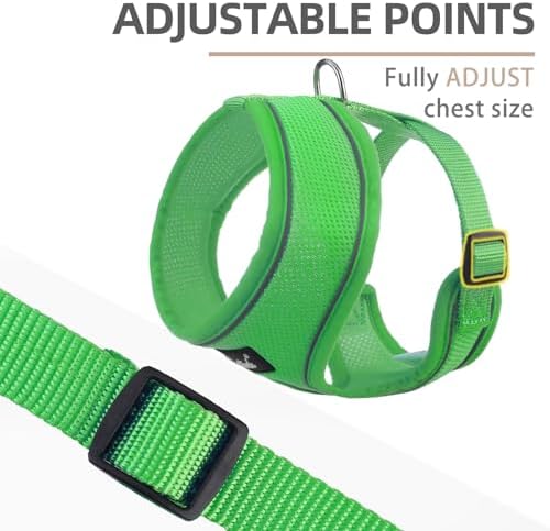 PUPTECK Small Dog Harness and Leash Set No Pull - Image 3