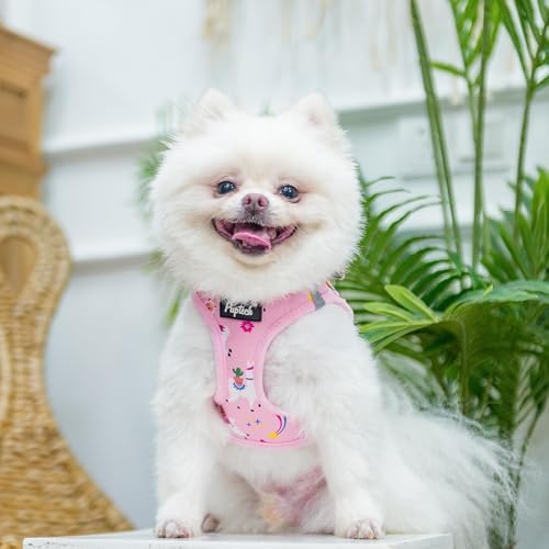 PUPTECK Dog Harness, Collar and Leash Set No Pull - Image 5